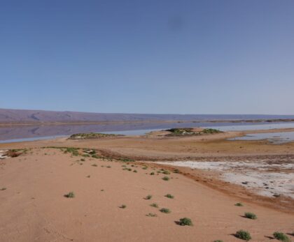 lac iriki 2024