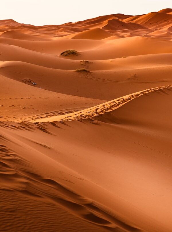 desert-1270345_1280