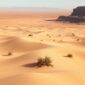 desert foum zguid