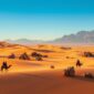 desert du maroc circuit 85x85