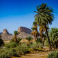 oasis desert maroc